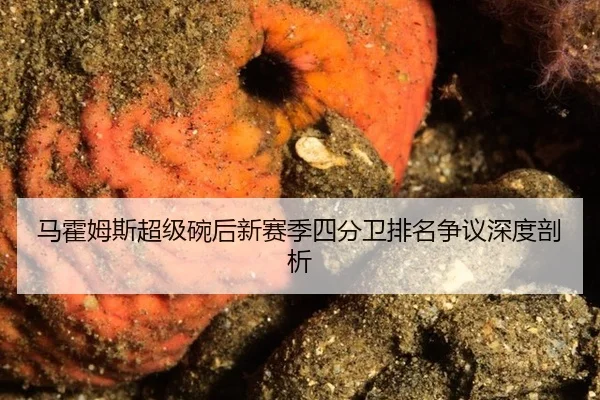 马霍姆斯超级碗后新赛季四分卫排名争议深度剖析